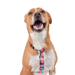 Wolves of Wellington Floss All Purpose Harness 2.0 | Smack Bang