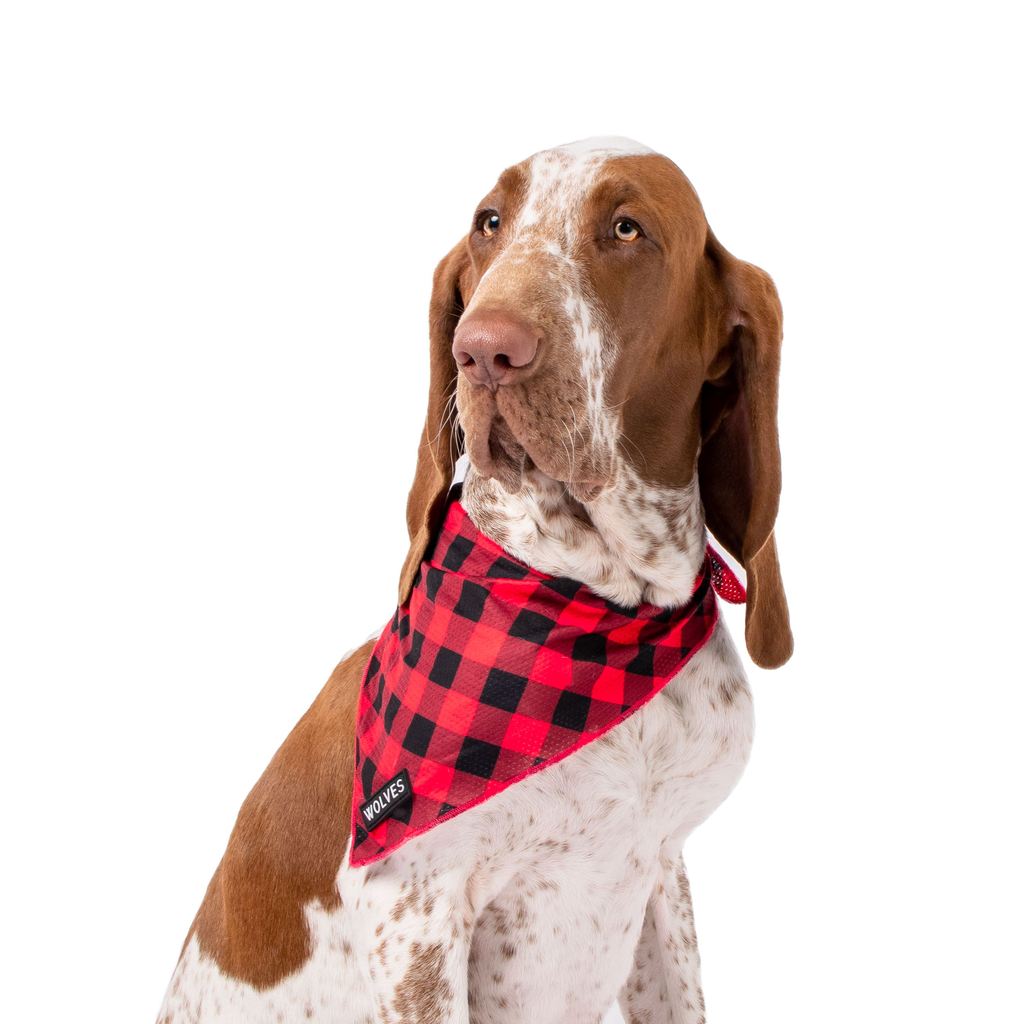 Wolves of Wellington Buffalo Mesh Bandana | Smack Bang
