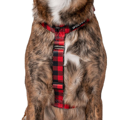 Wolves of Wellington Buffalo All Purpose Dog Harness | Smack Bang