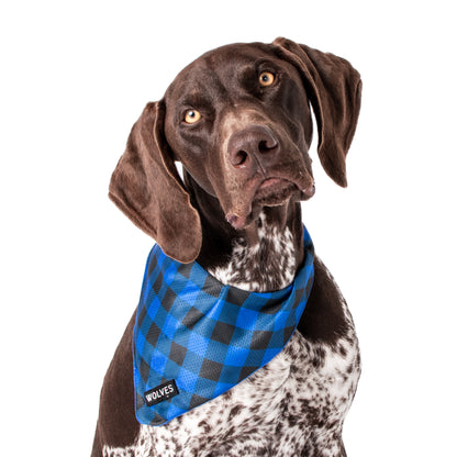Wolves of Wellington Luey Mesh Dog Bandana | Smack Bang