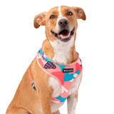 Wolves of Wellington Floss Mesh Dog Harness | Smack Bang