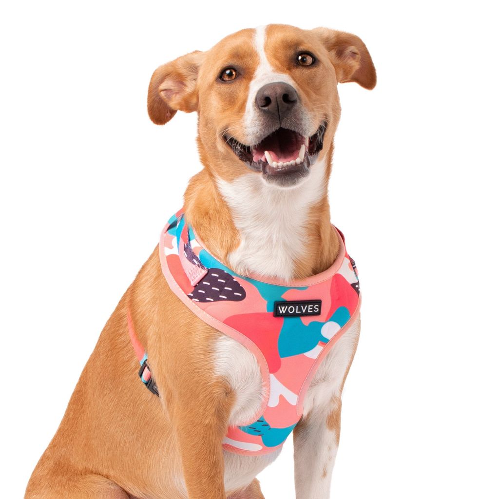 Wolves of Wellington Floss Mesh Dog Harness | Smack Bang