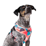 Wolves of Wellington Floss Mesh Dog Harness | Smack Bang