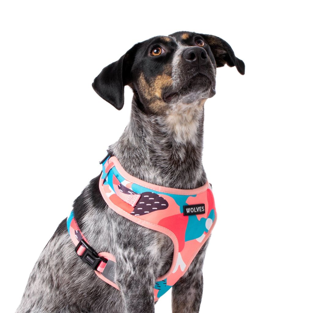 Wolves of Wellington Floss Mesh Dog Harness | Smack Bang