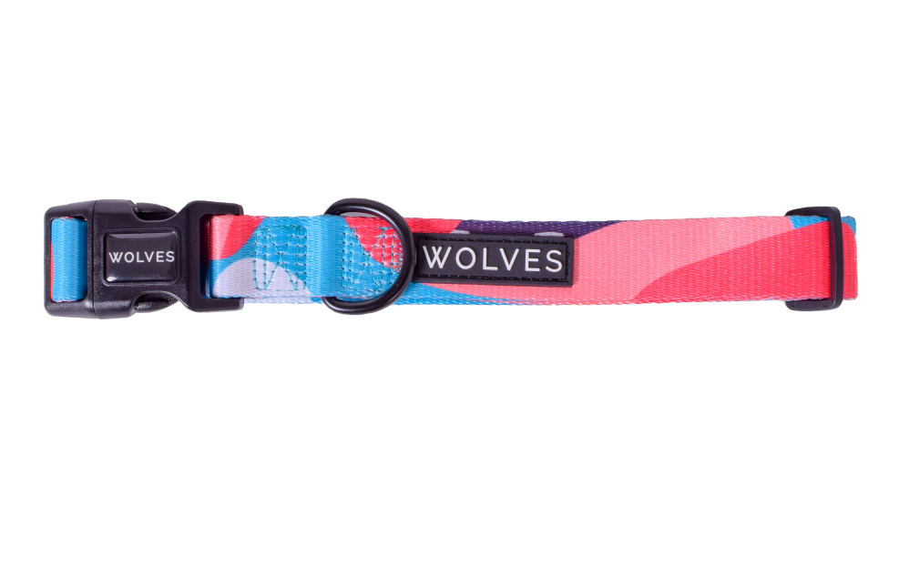 Wolves of Wellington Floss Dog Collar | Smack Bang
