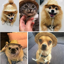 Pet Sombrero Cat & Dog Hat | Smack Bang