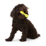 West Paw Zogoflex Hurley Dog Chew Toy | Smack Bang