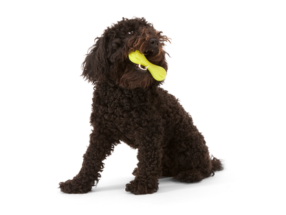 West Paw Zogoflex Hurley Dog Chew Toy | Smack Bang