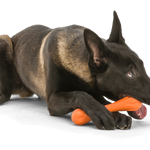 West Paw Zogoflex Hurley Dog Chew Toy | Smack Bang