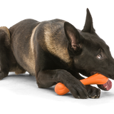West Paw Zogoflex Hurley Dog Chew Toy | Smack Bang