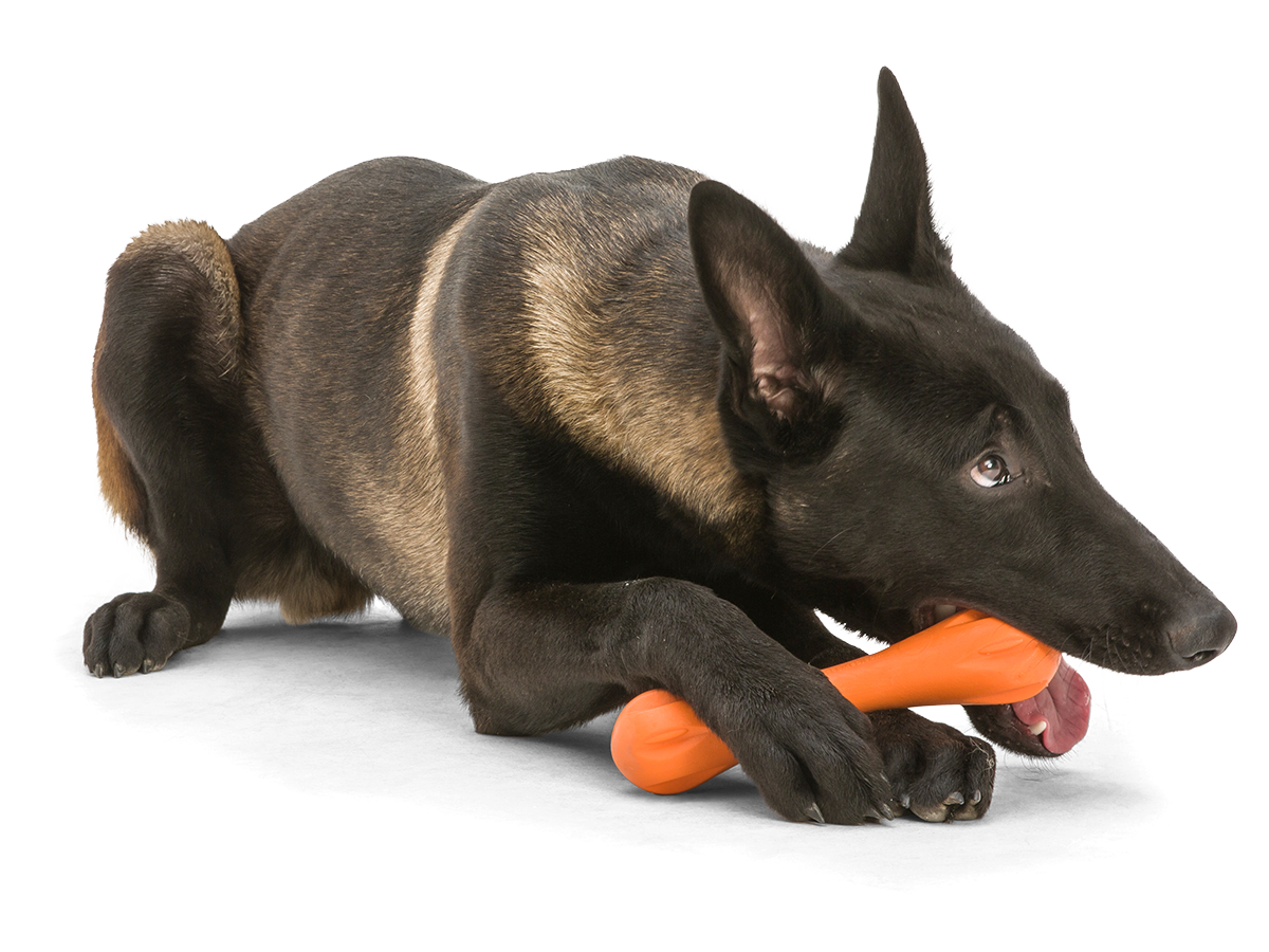 West Paw Zogoflex Hurley Dog Chew Toy | Smack Bang