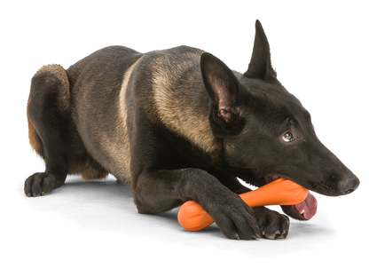 West Paw Zogoflex Hurley Dog Chew Toy | Smack Bang