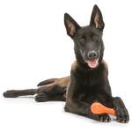 West Paw Zogoflex Hurley Dog Chew Toy | Smack Bang