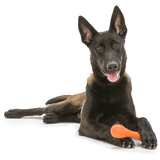 West Paw Zogoflex Hurley Dog Chew Toy | Smack Bang