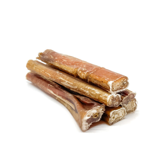 Bull Pizzle Stick | Smack Bang Dog Deli