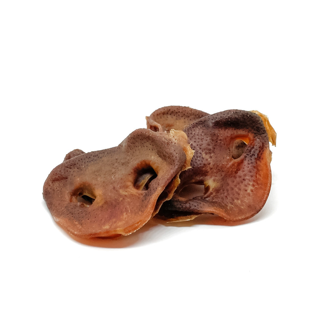 Pig Snouts Dog Treats | Smack Bang