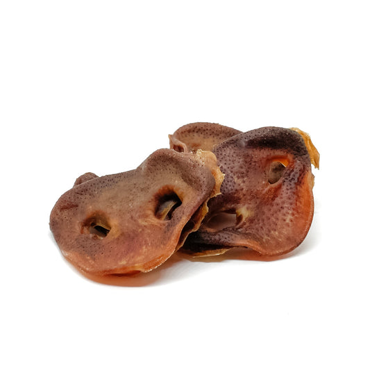 Pig Snouts Dog Treats | Smack Bang