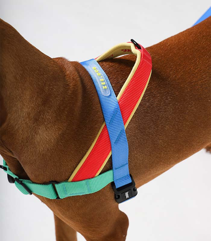 Zee.Dog Mellow Softer Walk Dog Harness | Smack Bang