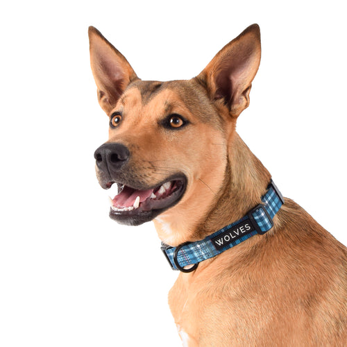 Wolves of Wellington Lochie Dog Collar | Smack Bang