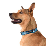Wolves of Wellington Lochie Dog Collar | Smack Bang