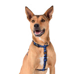Wolves of Wellington Luey All Purpose Harness 2.0 | Smack Bang