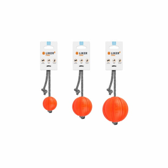 Liker Cord Dog Toy | Smack Bang