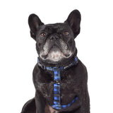 Wolves of Wellington Luey All Purpose Harness 2.0 | Smack Bang