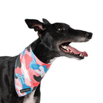 Wolves of Wellington Floss Mesh Bandana | Smack Bang