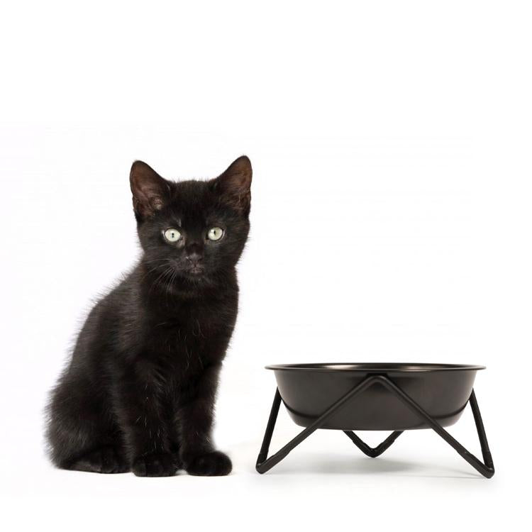 Black shop cat bowls