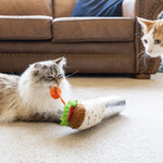 P.L.A.Y. Feline Frenzy Catnip Kicker Shrimp Purrito Cat Toy | Smack Bang