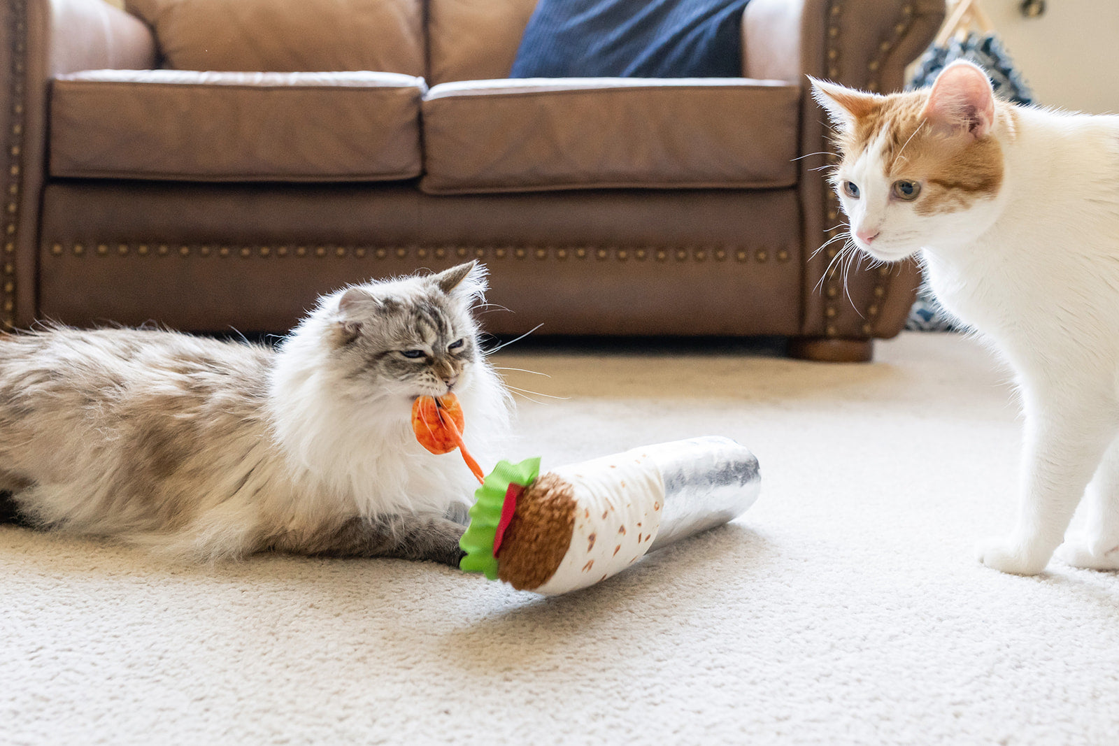 P.L.A.Y. Feline Frenzy Catnip Kicker Shrimp Purrito Cat Toy | Smack Bang