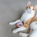 P.L.A.Y. Feline Frenzy Kitty Kreme Doughnuts Catnip Cat Toy | Smack Bang