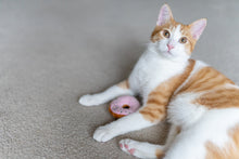 P.L.A.Y. Feline Frenzy Kitty Kreme Doughnuts Catnip Cat Toy | Smack Bang