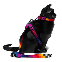 Zee.Dog Prisma Cat Harness | Smack Bang