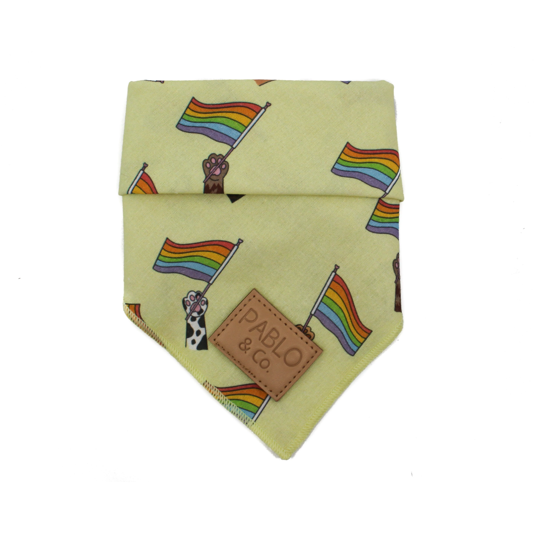 Pablo & Co Love Is Love Pride Dog Bandana | Smack Bang