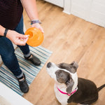 Planet Dog Orbee Tuff Snoop Treat Puzzle Dog Toy | Smack Bang