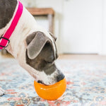 Planet Dog Orbee Tuff Snoop Treat Puzzle Dog Toy | Smack Bang