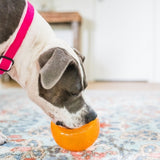 Planet Dog Orbee Tuff Snoop Treat Puzzle Dog Toy | Smack Bang