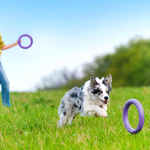 Puller Collar Midi Dog Training Rings | Smack Bang