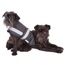 Mr Soft Top Waterproof Wool-Lined Dog Raincoat Griffon | Smack Bang