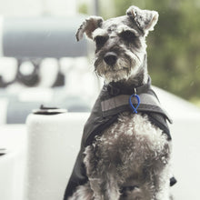 Mr Soft Top Waterproof Wool-Lined Dog Raincoat Schnauzer | Smack Bang