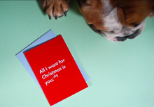 Pooch Design Christmas Card  |  All I Want For Christmas Is You(r Dog) LAST CHANCE