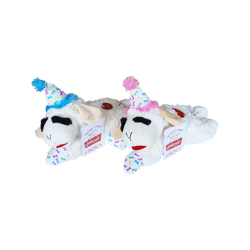 Birthday Lamb Chop Dog Toy | Smack Bang