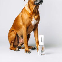 Thirsty Dog Drink Bottle | Brilliant White | Smack Bang