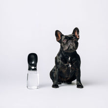 Thirsty Dog Drink Bottle | Jet Black Frenchie | Smack Bang