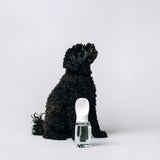 Thirsty Dog Drink Bottle Brilliant White | Smack Bang