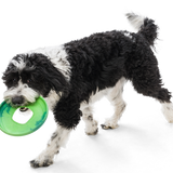 West Paw Seaflex Sailz Dog Frisbee | Smack Bang
