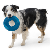 West Paw Seaflex Sailz Dog Frisbee | Smack Bang