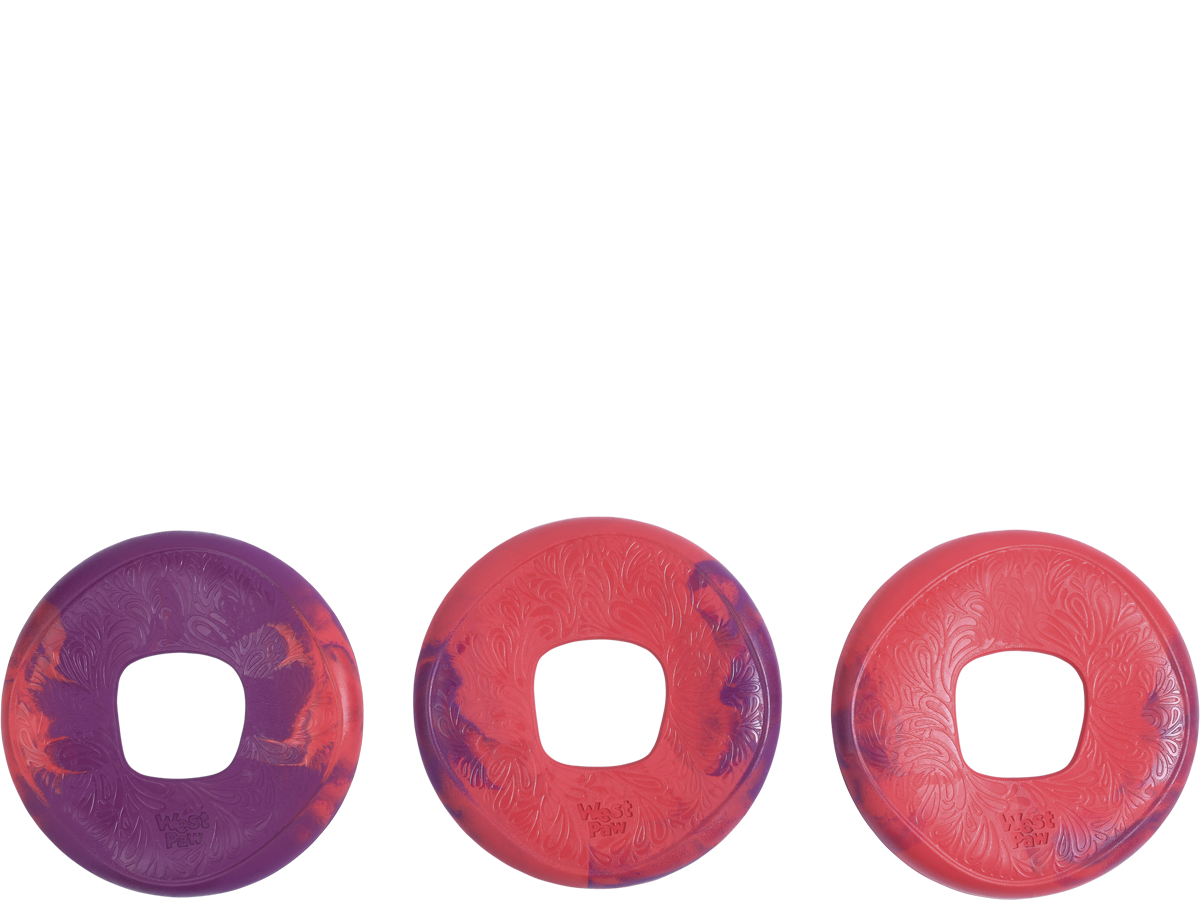 West Paw Seaflex Sailz Dog Frisbee Hibiscus | Smack Bang