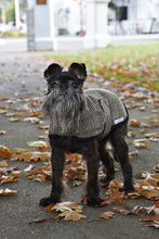 Mr Soft Top Sherlock Winter Tartan Dog Coat | Smack Bang